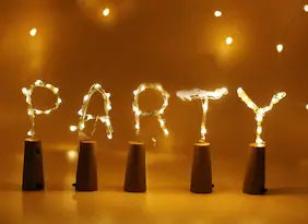 20 Led Bottle Light (Pack Of 5)