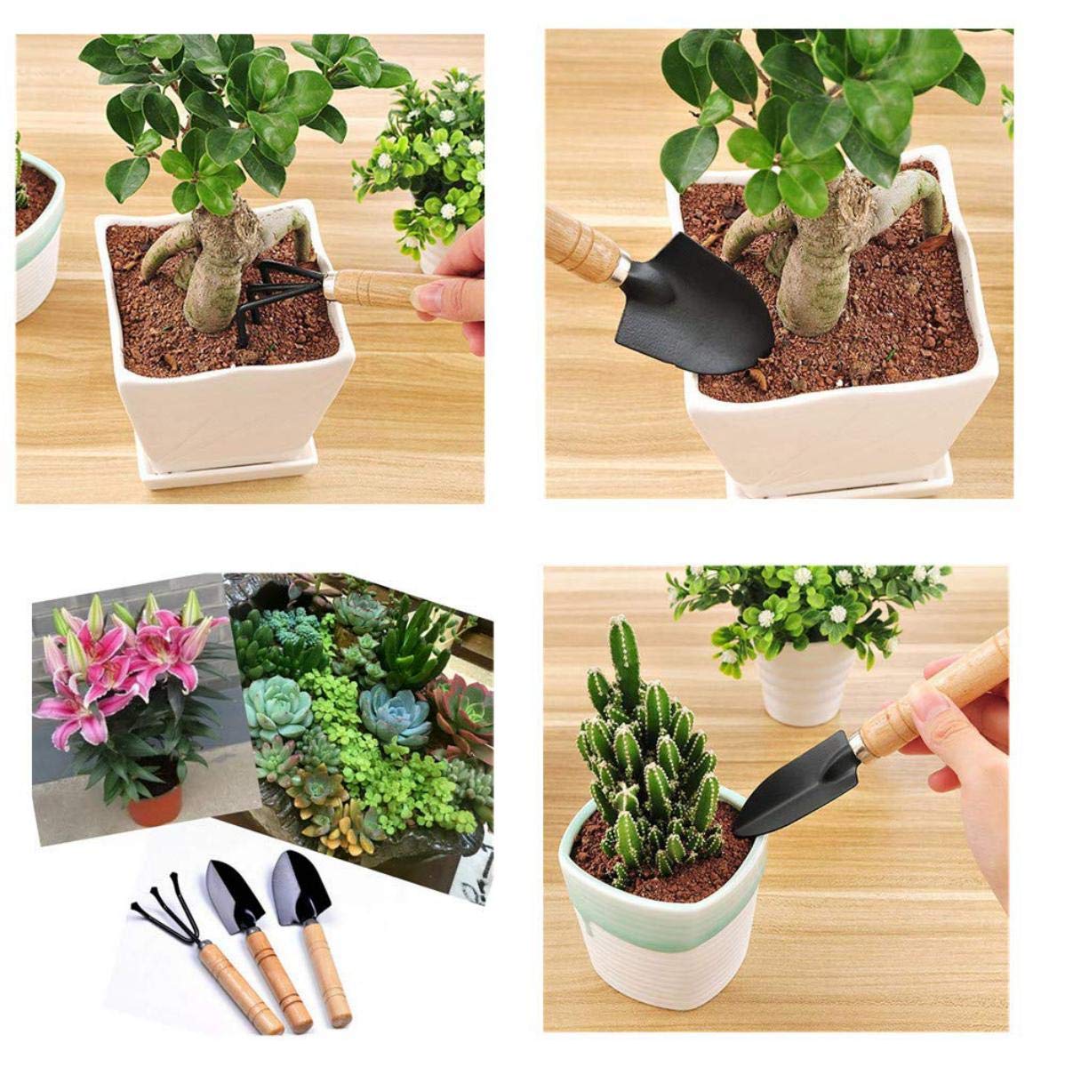 3PCS Garden Tool