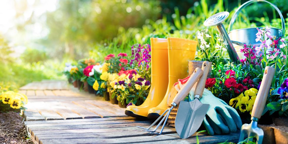 GARDENING &  DECORATIVE