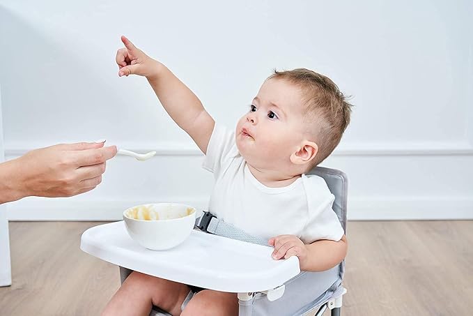 Folding Portable High Chair with Tray Baby