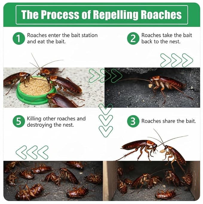 Cockroach Repellent & Killing Bait