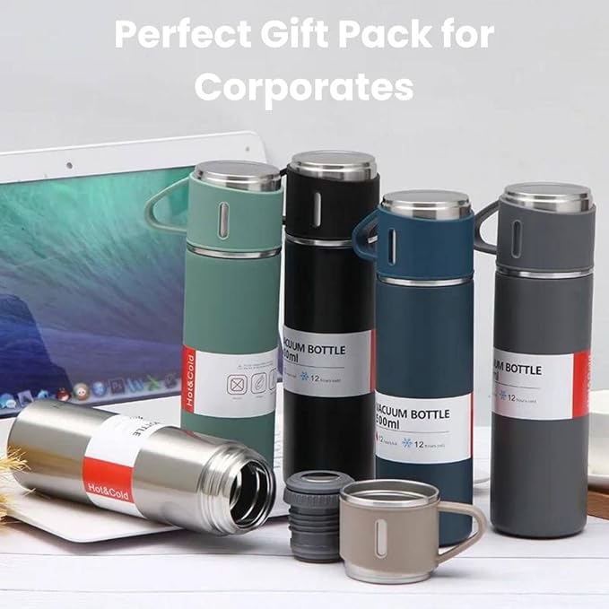 2-in-1 Stainless Steel Insulated Water Bottle