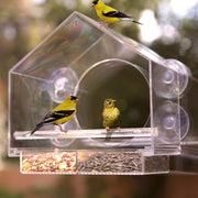 Transparent Bird Feeder with Suction Cups