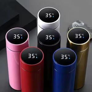 Smart Temperature Display Water Bottle